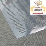 Krata odgrodowa winidurowa Dadant 