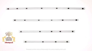 Segment- beleczka warszawska poszerzana